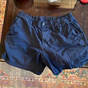 Bearbottom 5.5 inch Navy Shorts